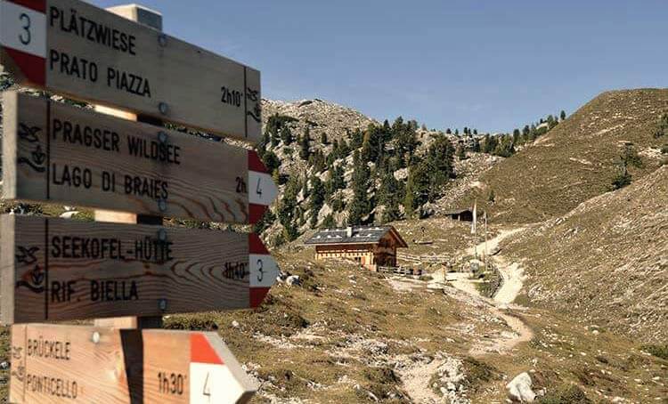 Prato Piazza - Malga Cavallo - Ponticello