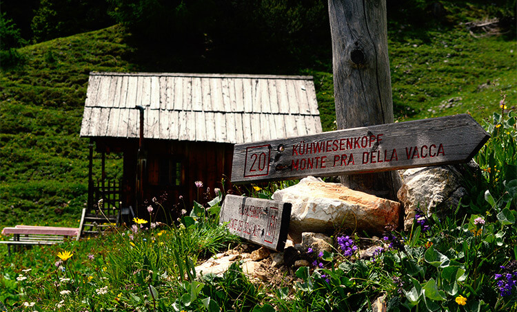 Tour in montagna e camminate