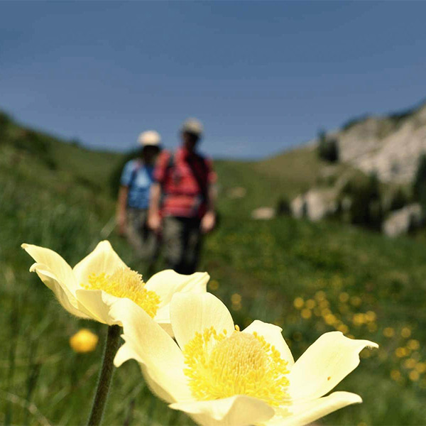 Vacanze escursionistiche