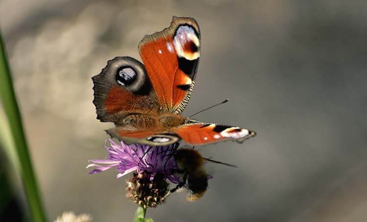 Sunbathing on the roof terrace