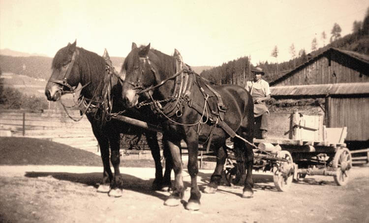 Geschichte Pragser Tal