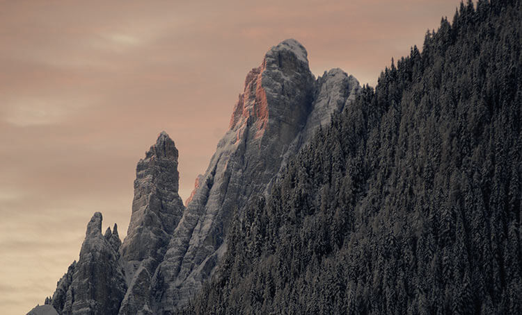 Escursione invernale - Malga Nemes