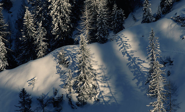 Escursione Prati della Croda Rossa al Passo Monte Croce di Comelico