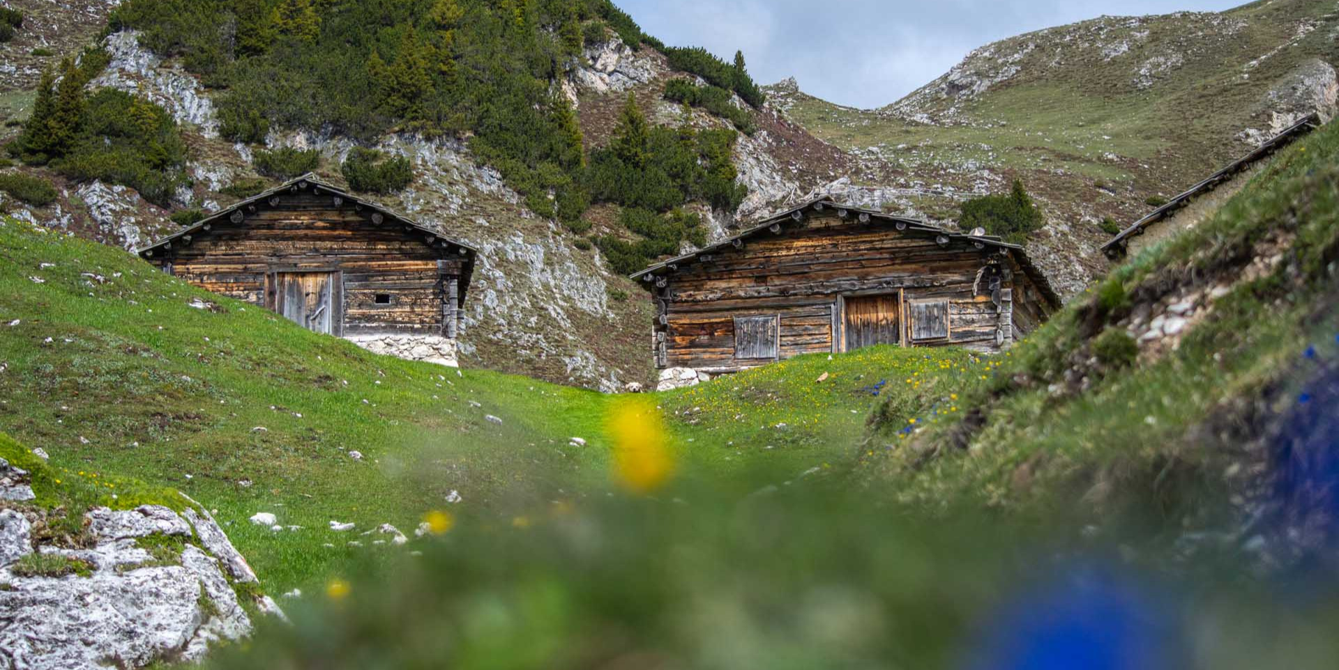 Sulle tracce del coniglio di Pasqua