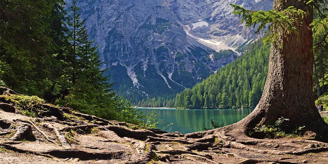 Autumn in the mountains at Lake Braies