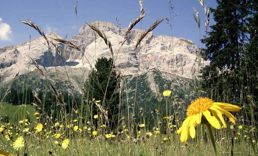 Cross-country trails - Prato Piazza